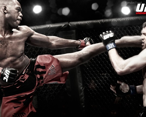 jon jones kick punch top ufc fighter 2014 images