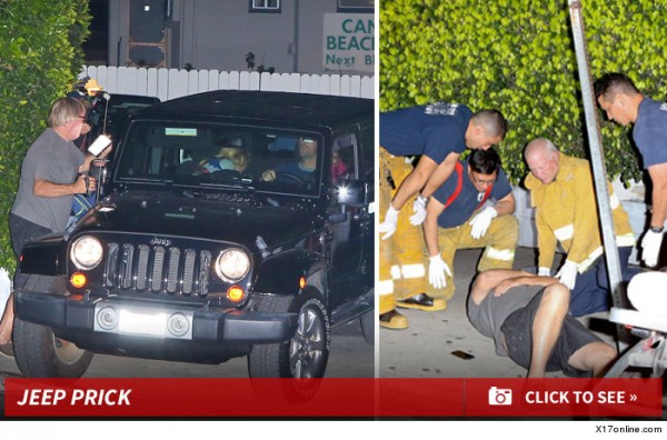 chris martin hits photographer with jeep 2015 images