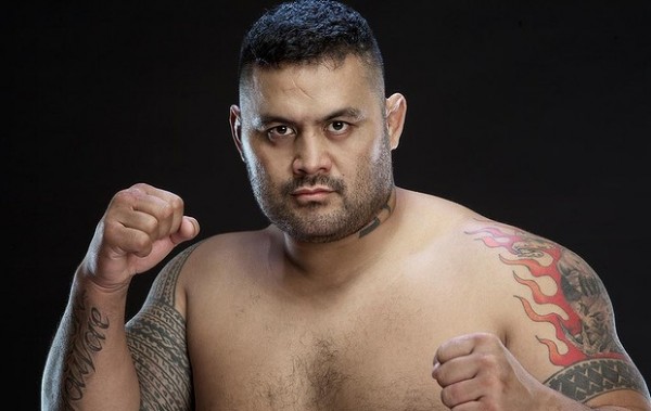 mark hunt most underrated ufc fighters 2015