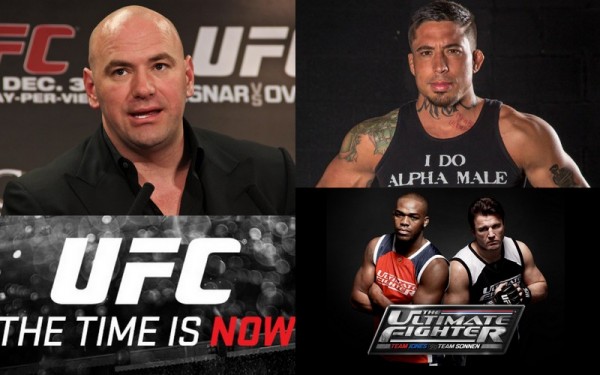 ufc issues to fix 2015
