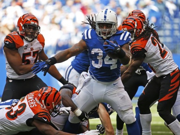 bengals lose to colts for afc championship 2015 images