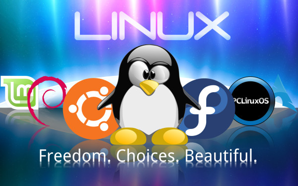 linux logo against microsoft 2015