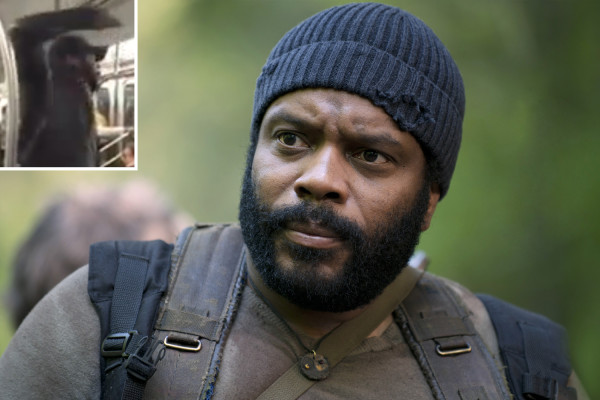 chad l coleman from walking dead has nyc subway breakdown about racism