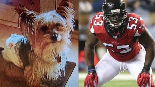 prince shembo waived by falcons for dog dying