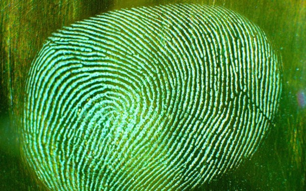biometrics can be hacked tech 2015