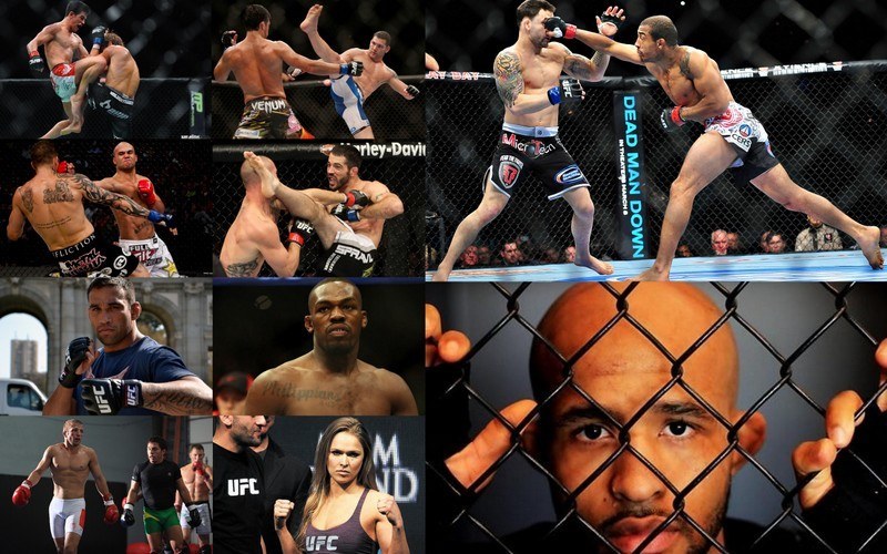 hottest top 10 ufc fighters 2014 2015 images