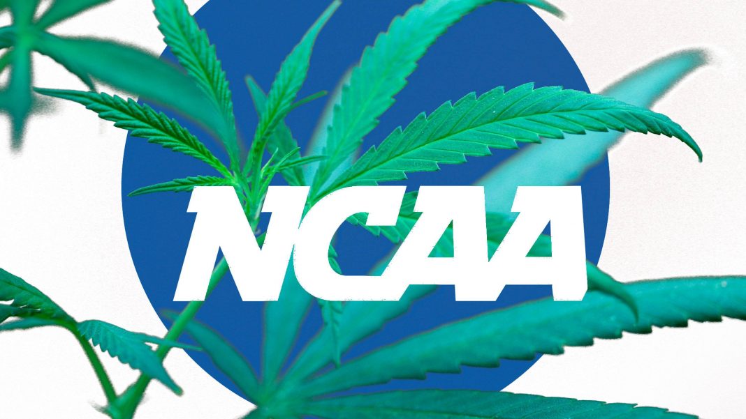 ncaa need to revisit its marijuana policy 2015