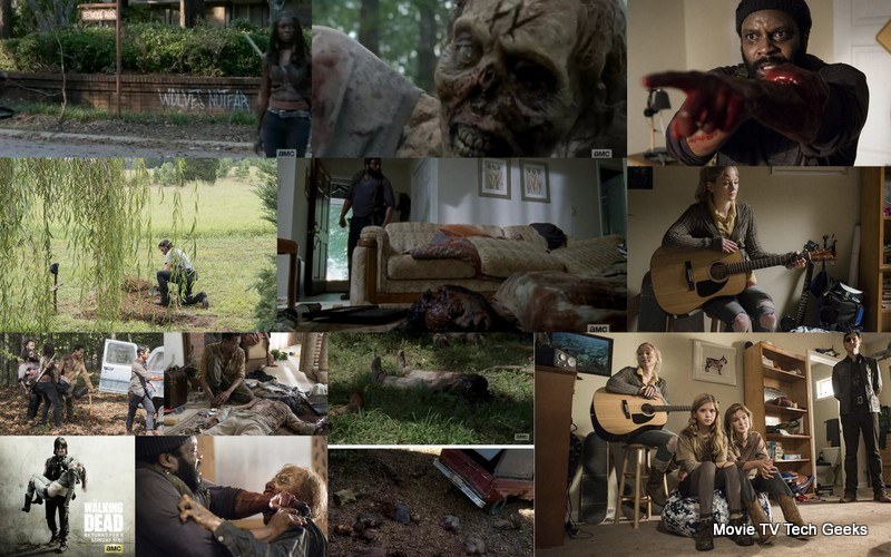 THE WALKING DEAD Season 5 Ep 9 A Beautiful Homage To Tyreese Terrence Malick