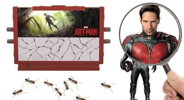 paul rudd ant man ant farm images 2015 hottest xmas kids toys