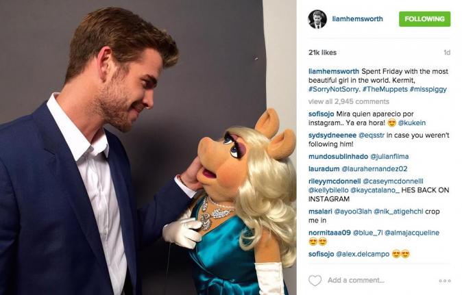 liam hemsworth with muppets miss piggy retro tv shows being remade 2015