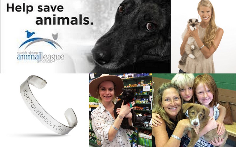 north shore animal league get your rescue on images 2015