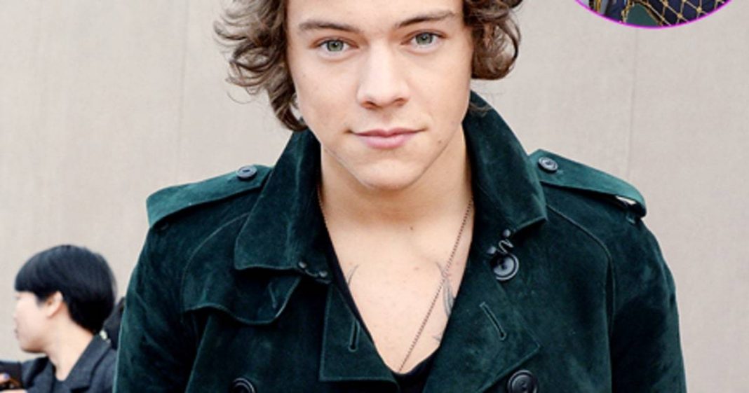harry styles gives one direction fans hope 2015 gossip