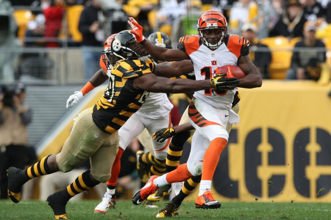 bengals collapse to steelers 2016 images