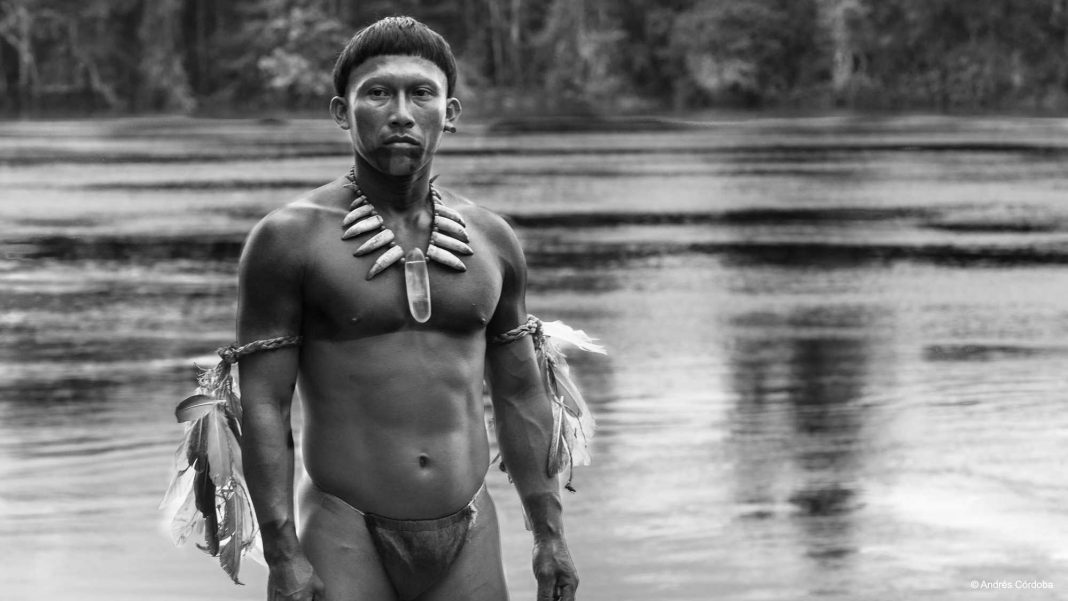 embrace of the serpent movie review 2016