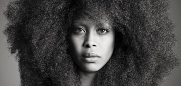 Heroes and Zeros: Erykah Badu vs Ray Lewis - Movie TV Tech Geeks News