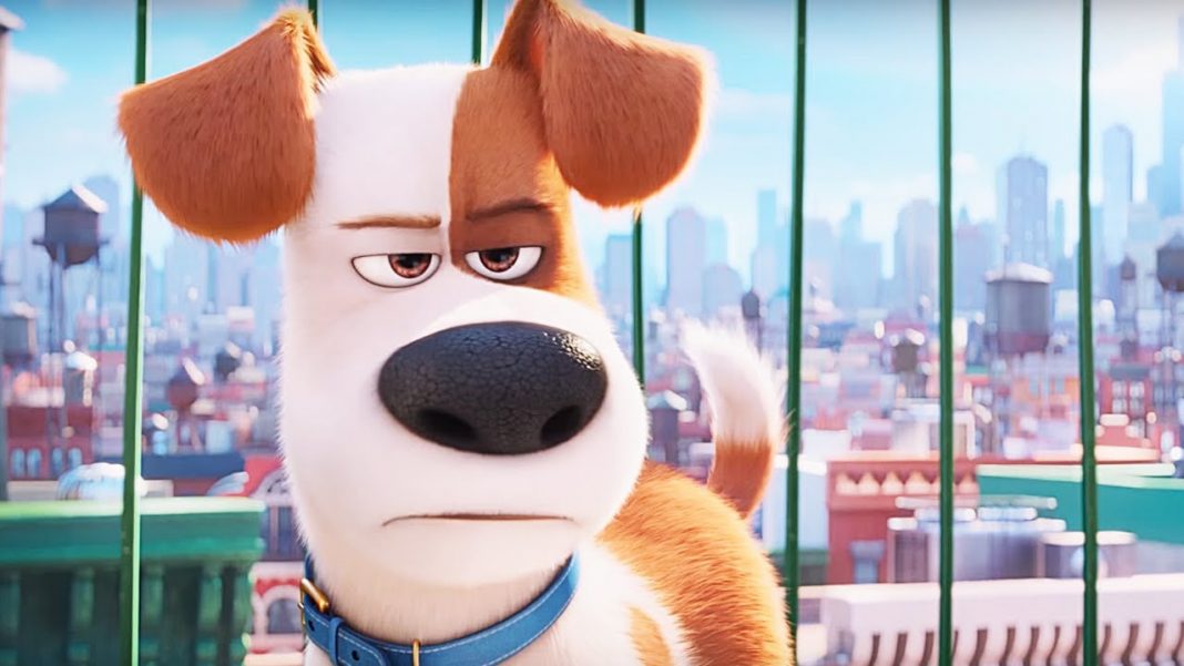 animation rules box office with the secret life of pets leading pack 2016 images