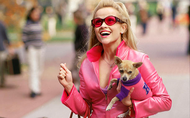 reese witherspoon up for more legally blonde 2016
