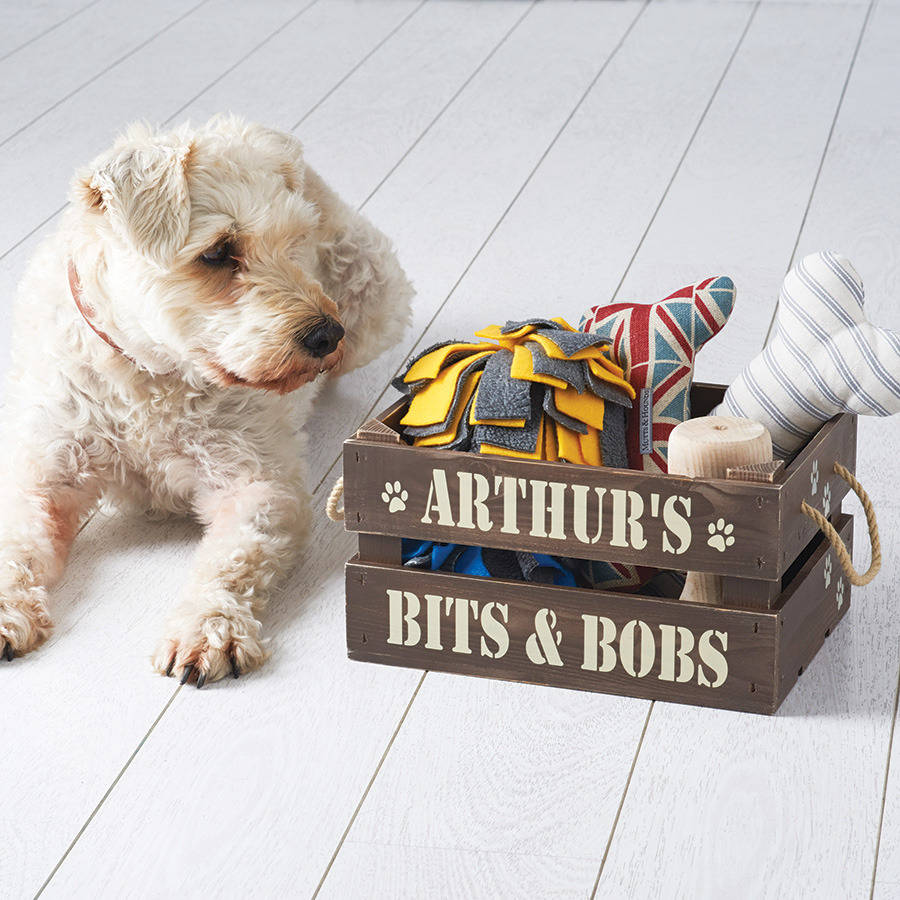 best crate toys for puppies