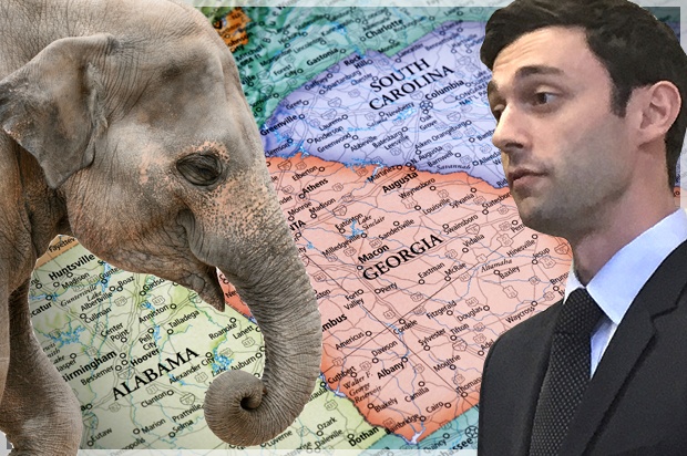 jon ossoff vs republican party in georgia