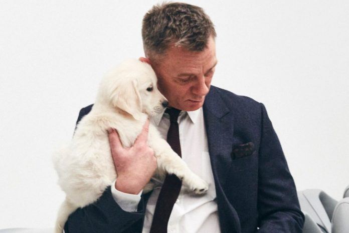 No surprise: Daniel Craig continues 007 action - Movie TV Tech Geeks News