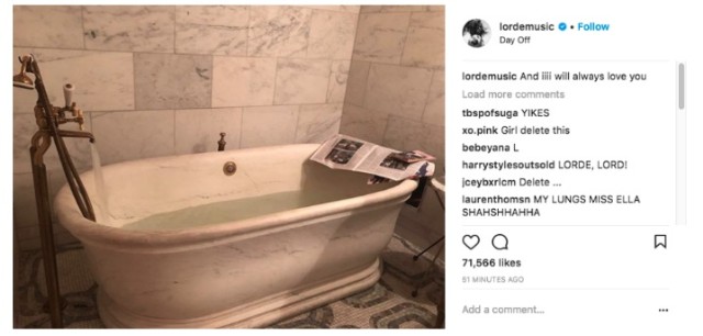 lorde whitney houston bathtub snap controversy
