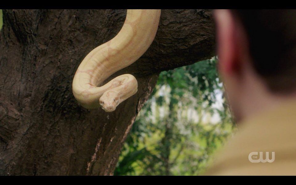 Snake tempting Jack in Garden of Eden Destinys Child SPN
