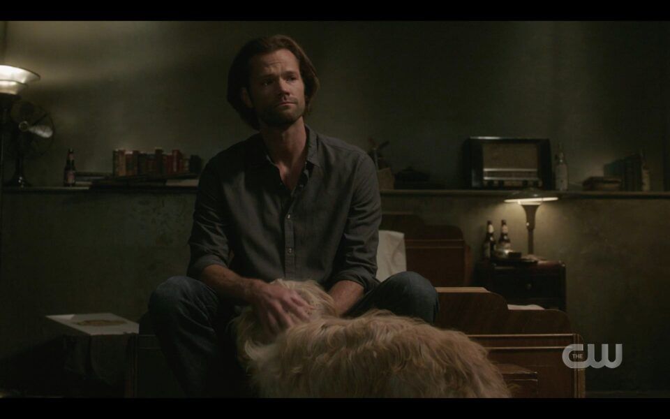 SPN Sam Winchester petting Miracle dog 1520