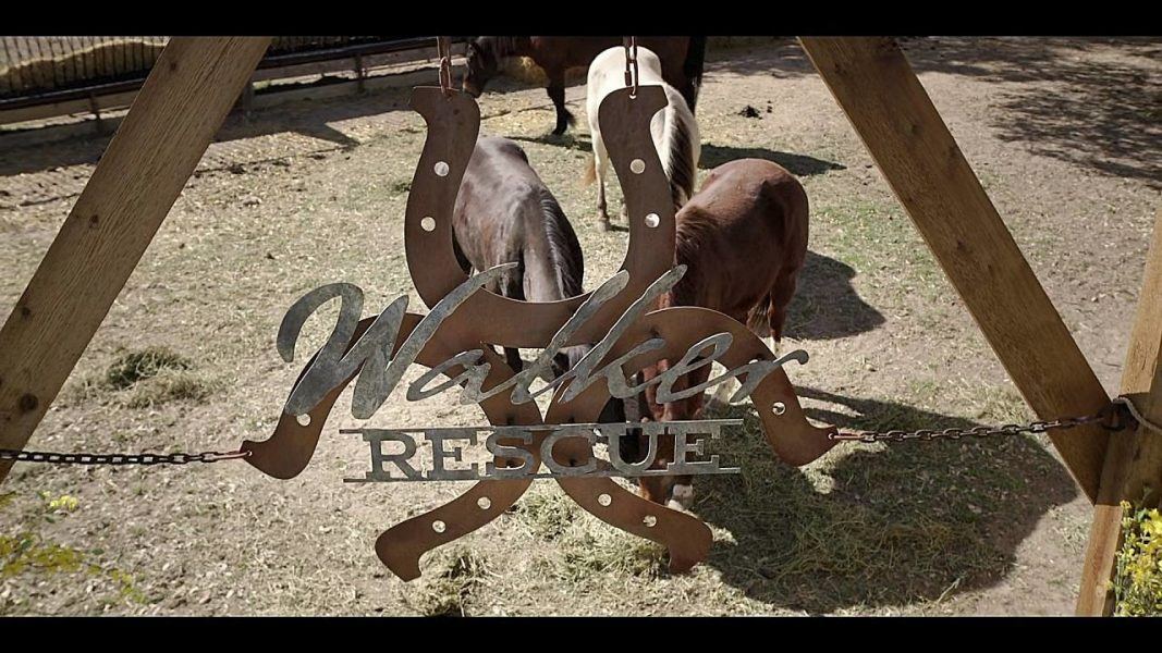 Walker Rescue sign with horses for It Writes Itself episode 3.17.